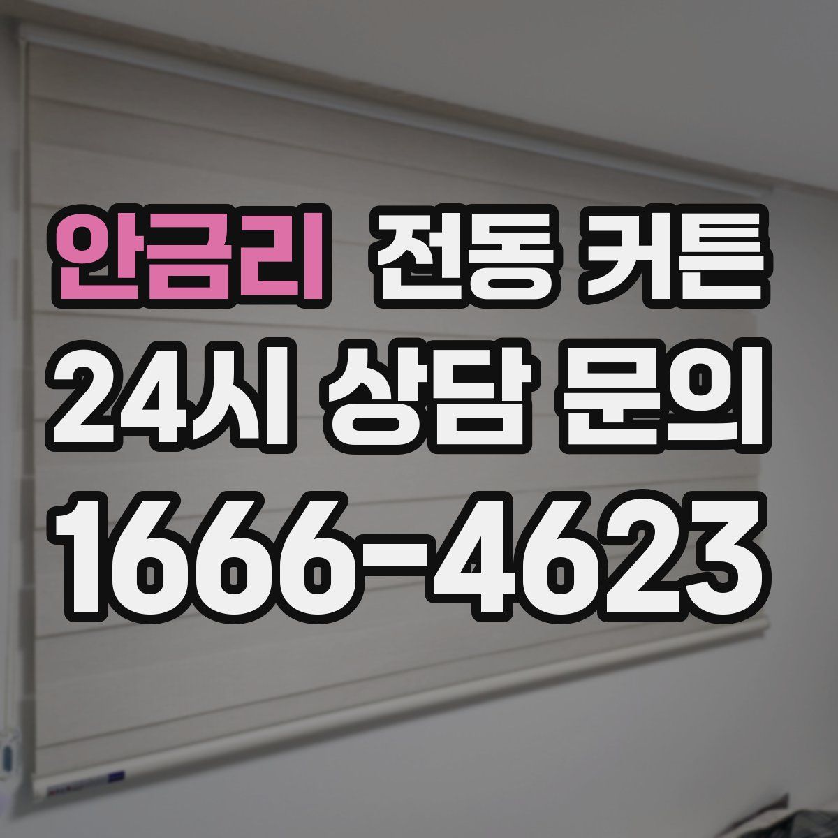 안금리 전동 커튼