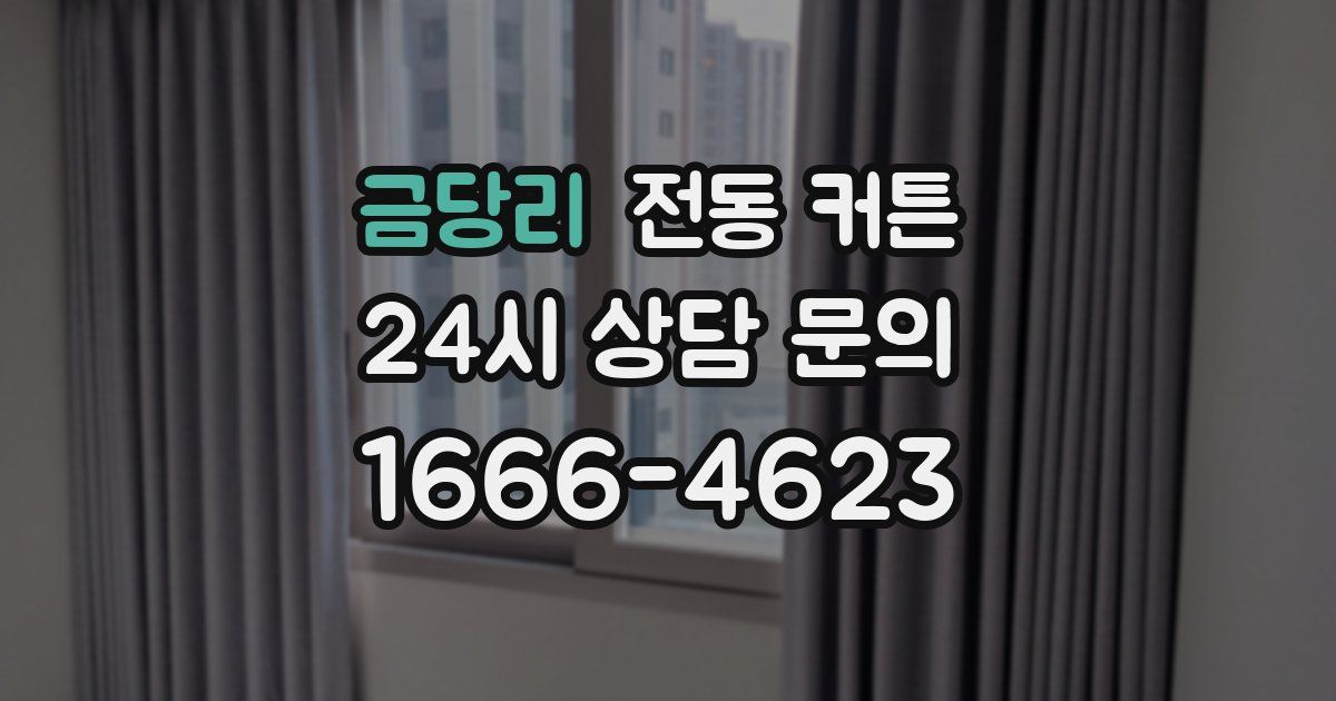 금당리 전동 커튼
