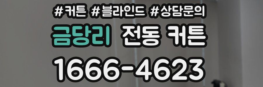 금당리 전동 커튼