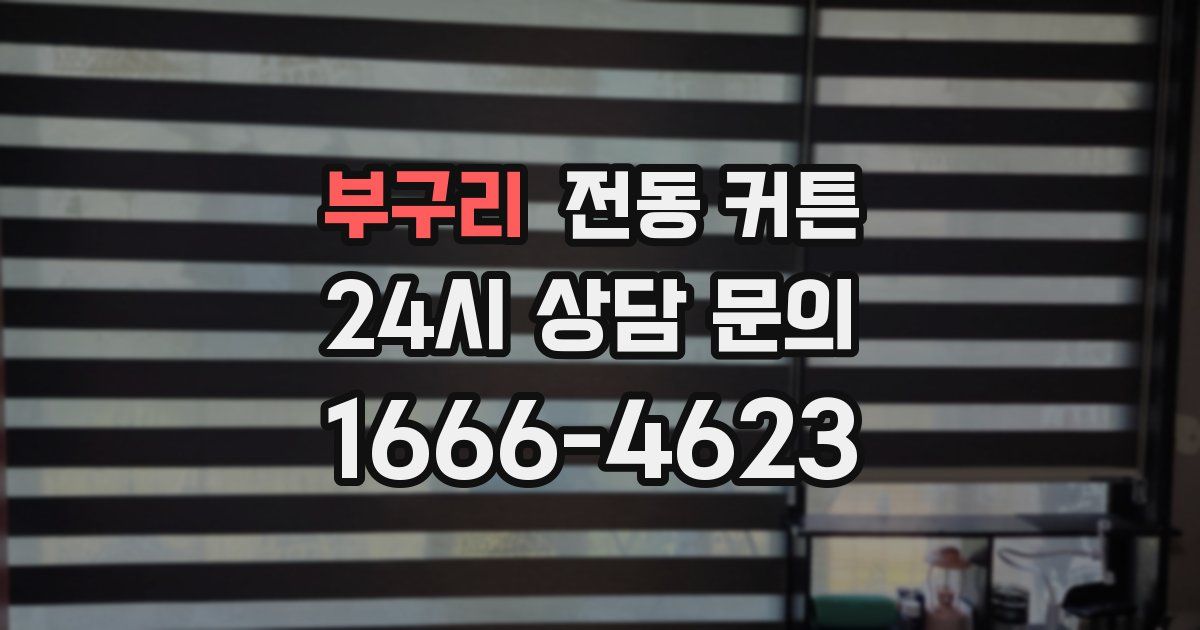 부구리 전동 커튼