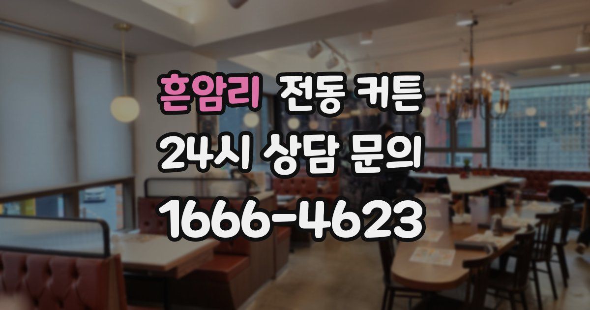 흔암리 전동 커튼