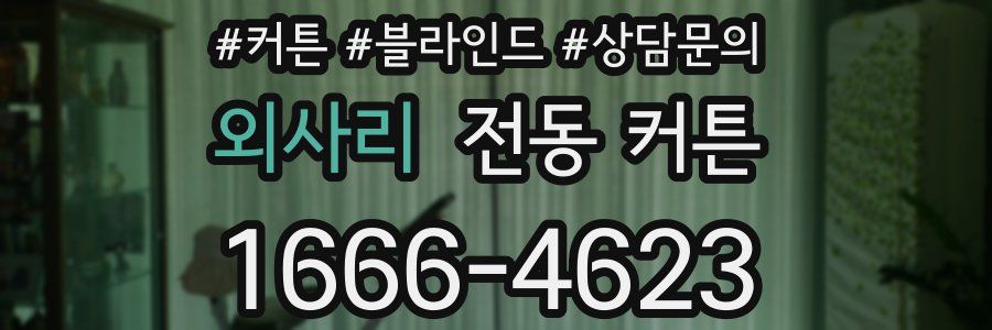 외사리 전동 커튼