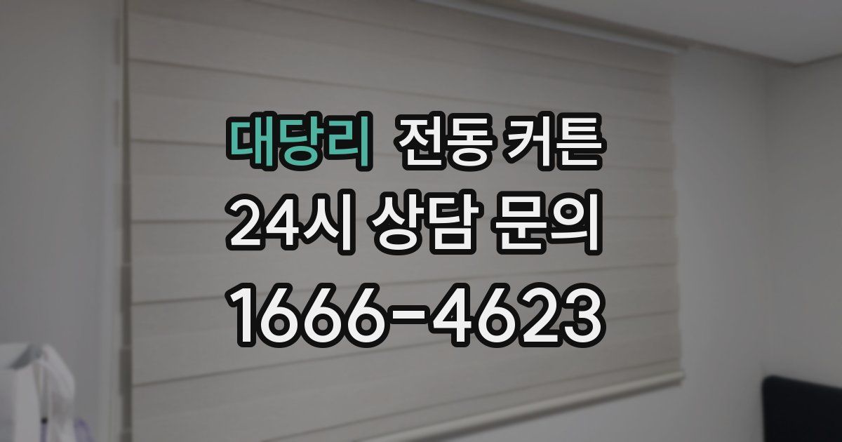 대당리 전동 커튼