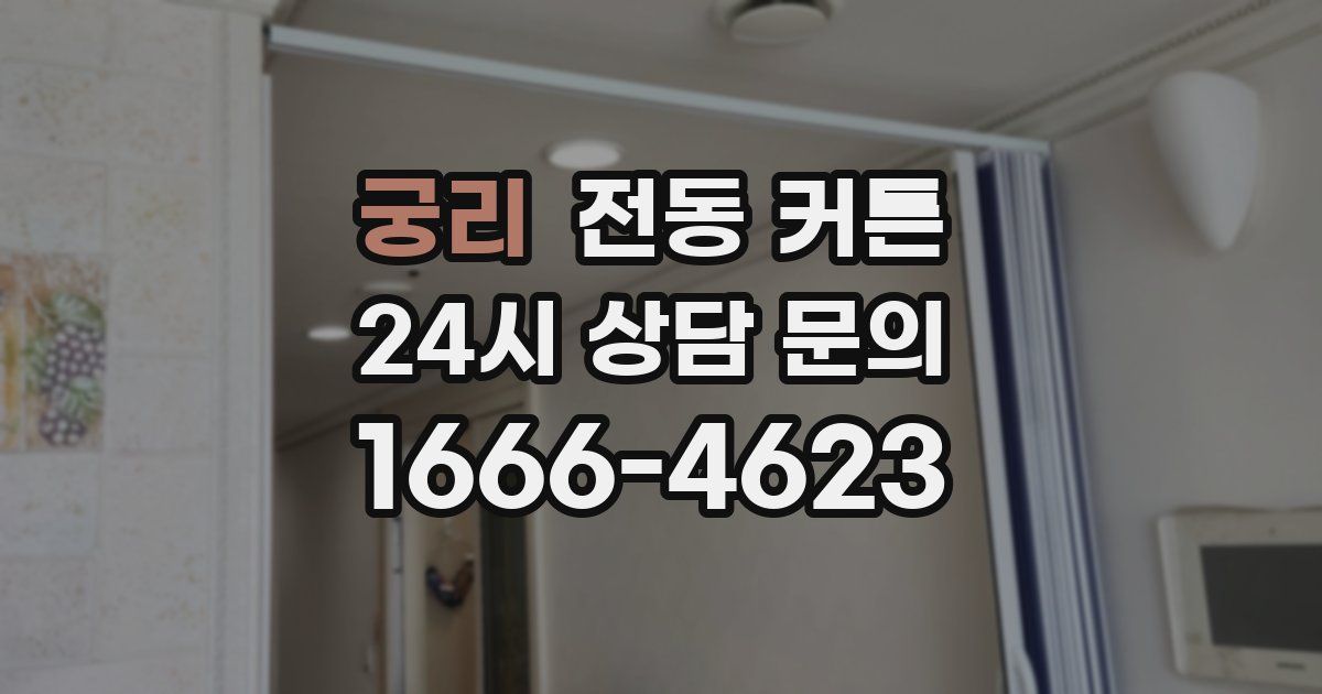 궁리 전동 커튼