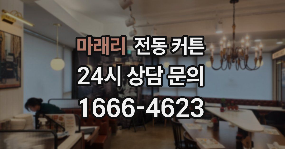 마래리 전동 커튼