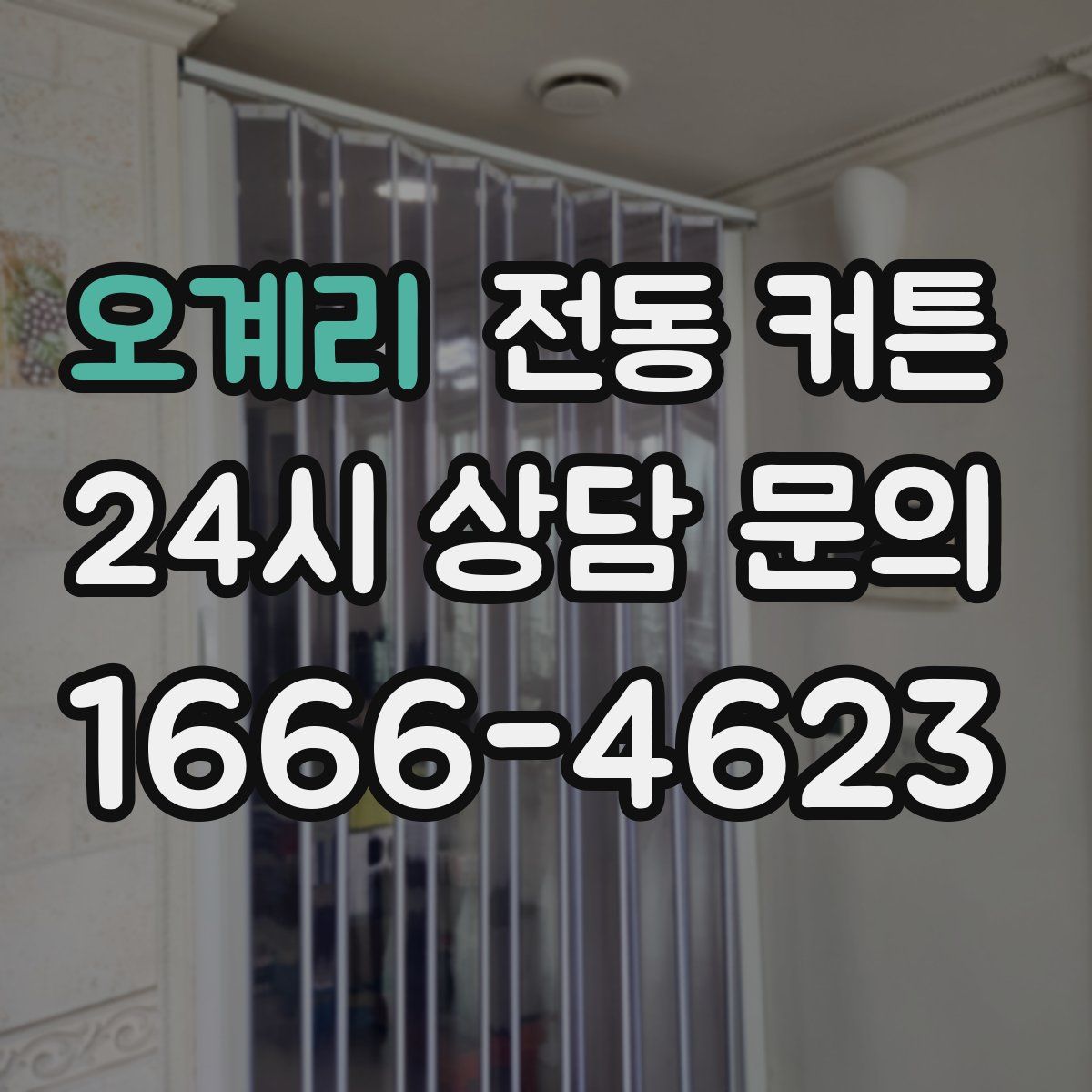 오계리 전동 커튼