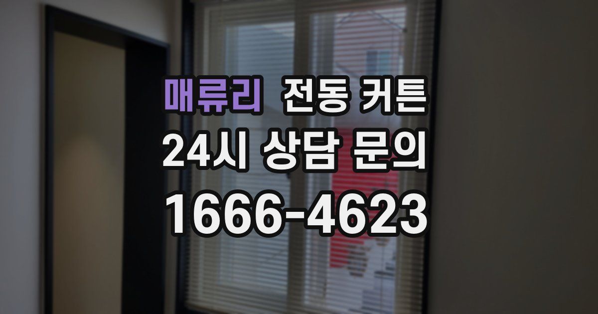 매류리 전동 커튼