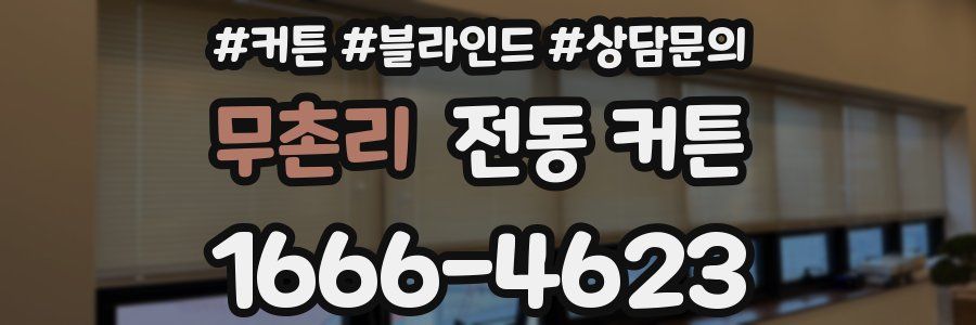 무촌리 전동 커튼