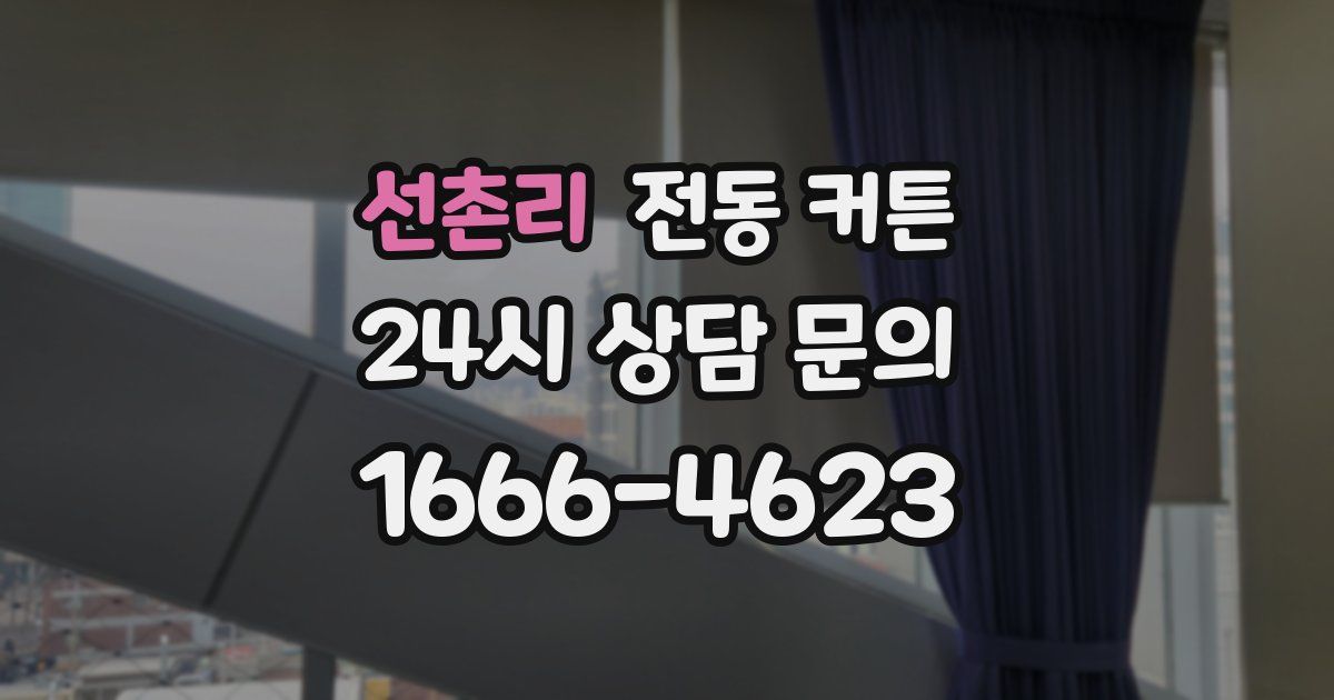 선촌리 전동 커튼