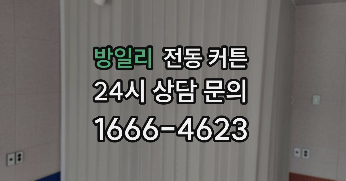 방일리 전동 커튼