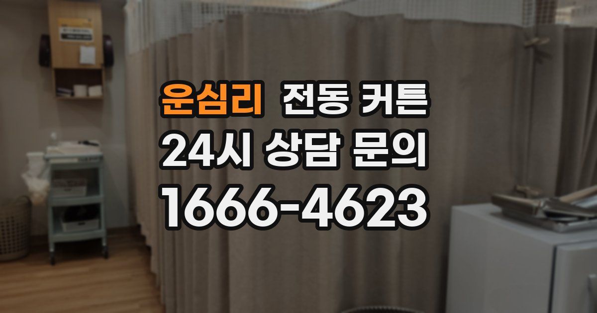 운심리 전동 커튼