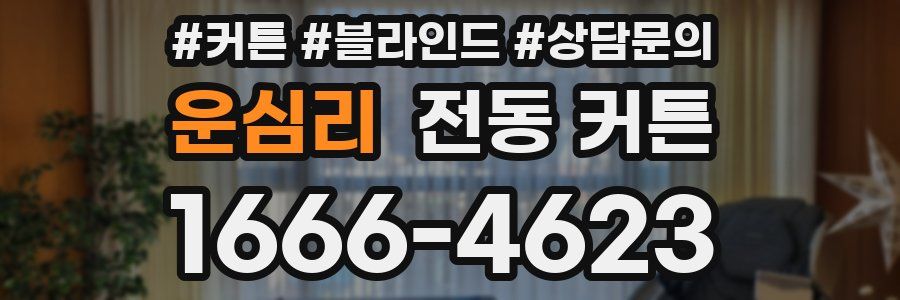 운심리 전동 커튼