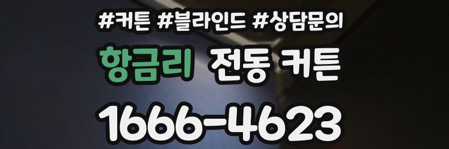 항금리 전동 커튼
