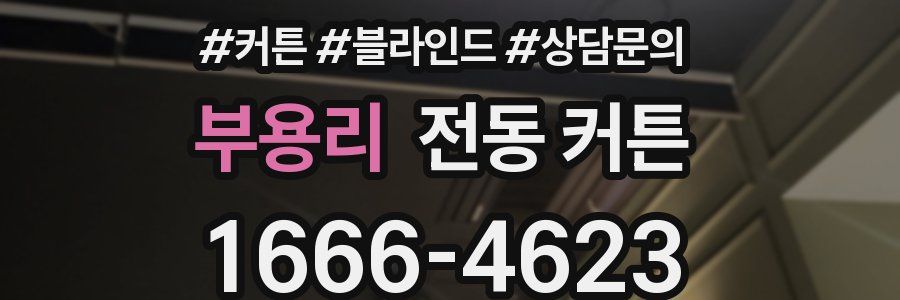부용리 전동 커튼