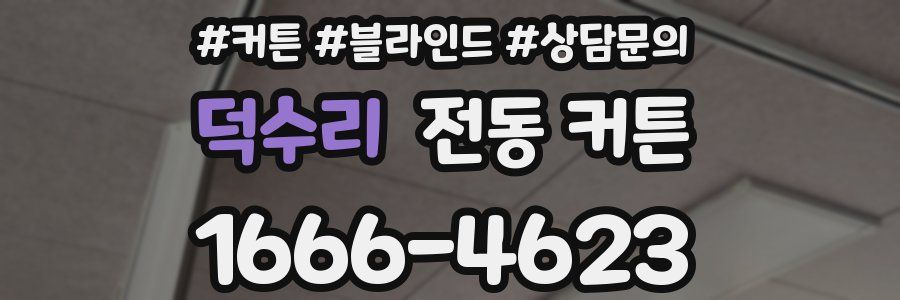 덕수리 전동 커튼