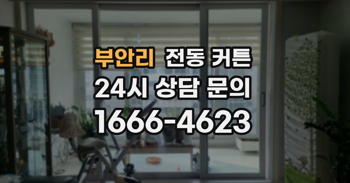 부안리 전동 커튼