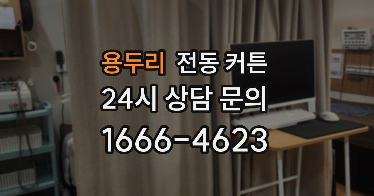 용두리 전동 커튼
