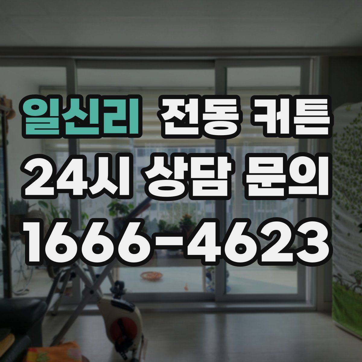 일신리 전동 커튼