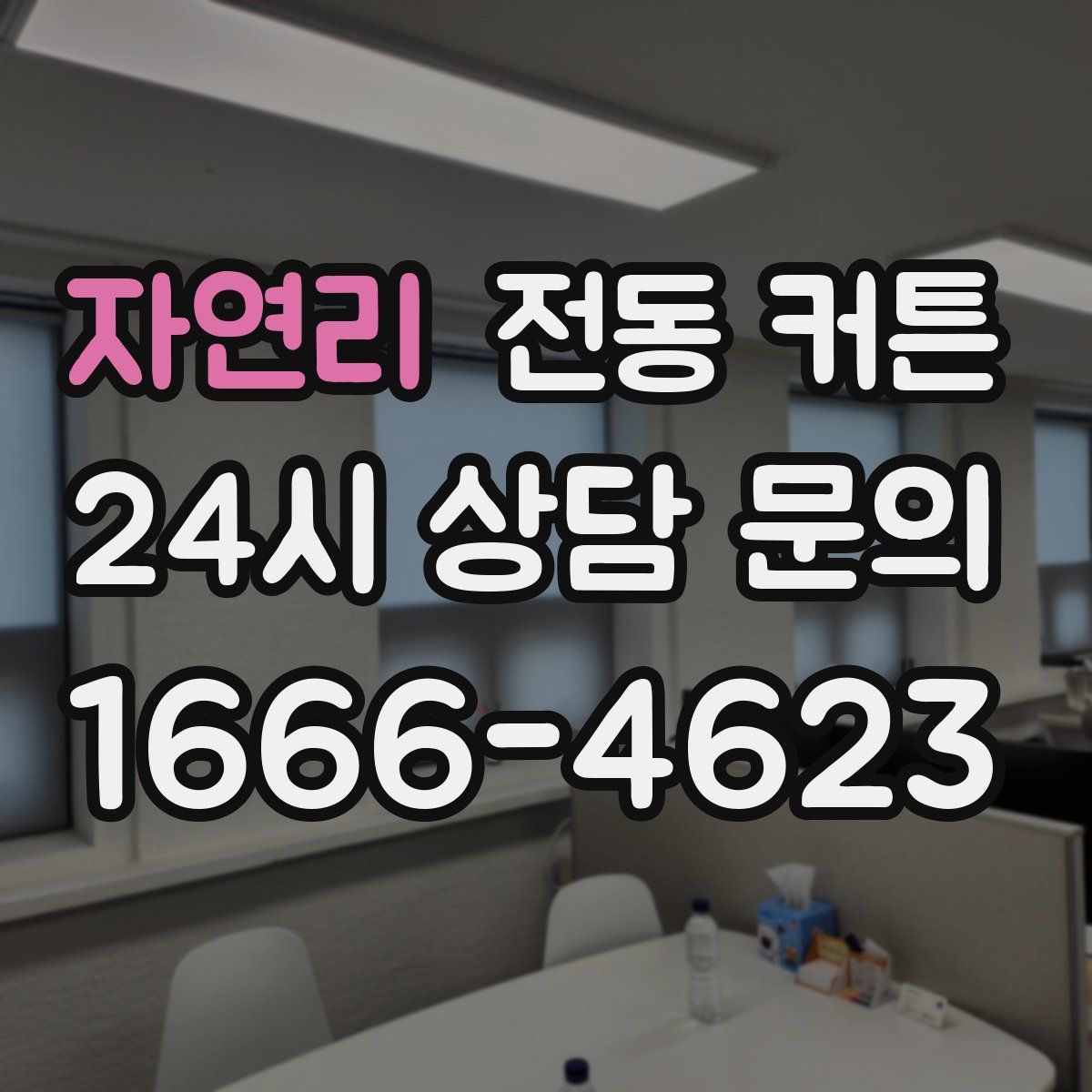 자연리 전동 커튼