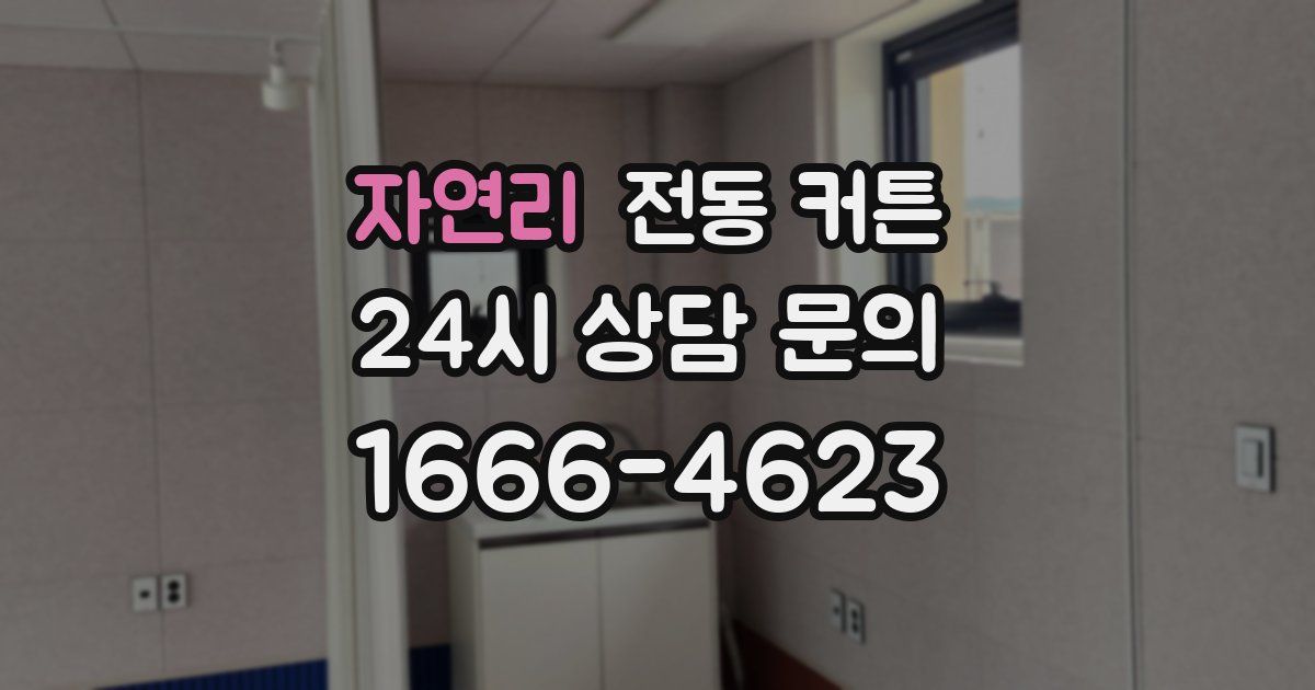 자연리 전동 커튼