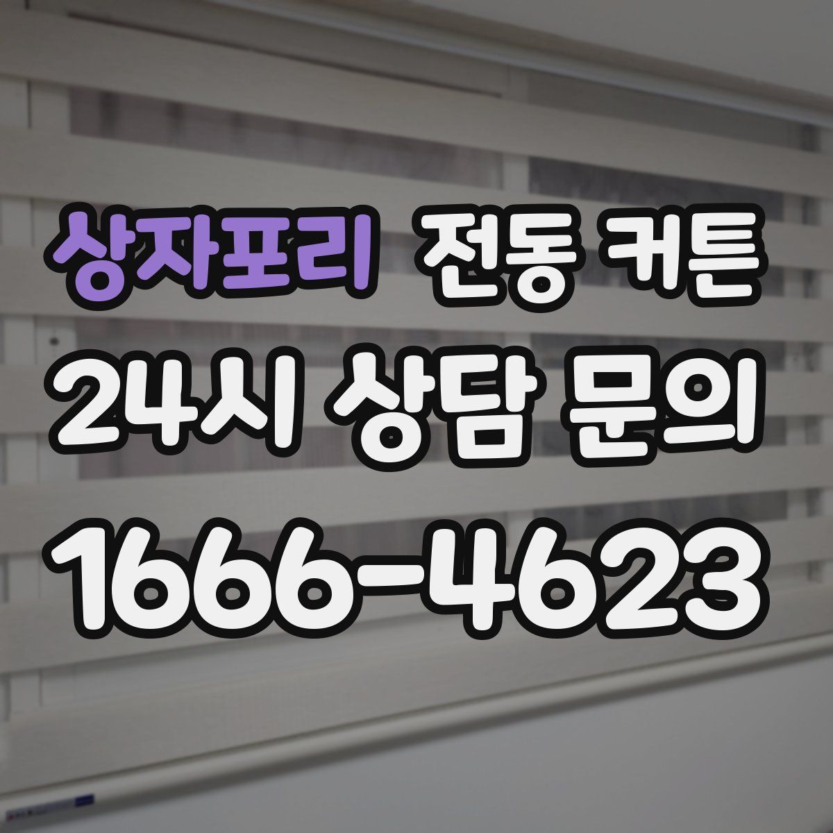 상자포리 전동 커튼