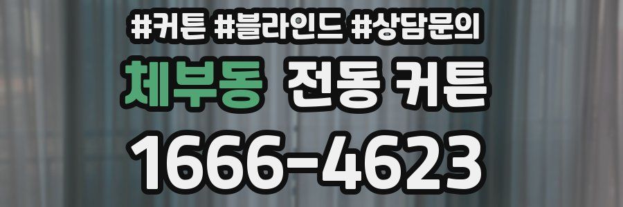 체부동 전동 커튼