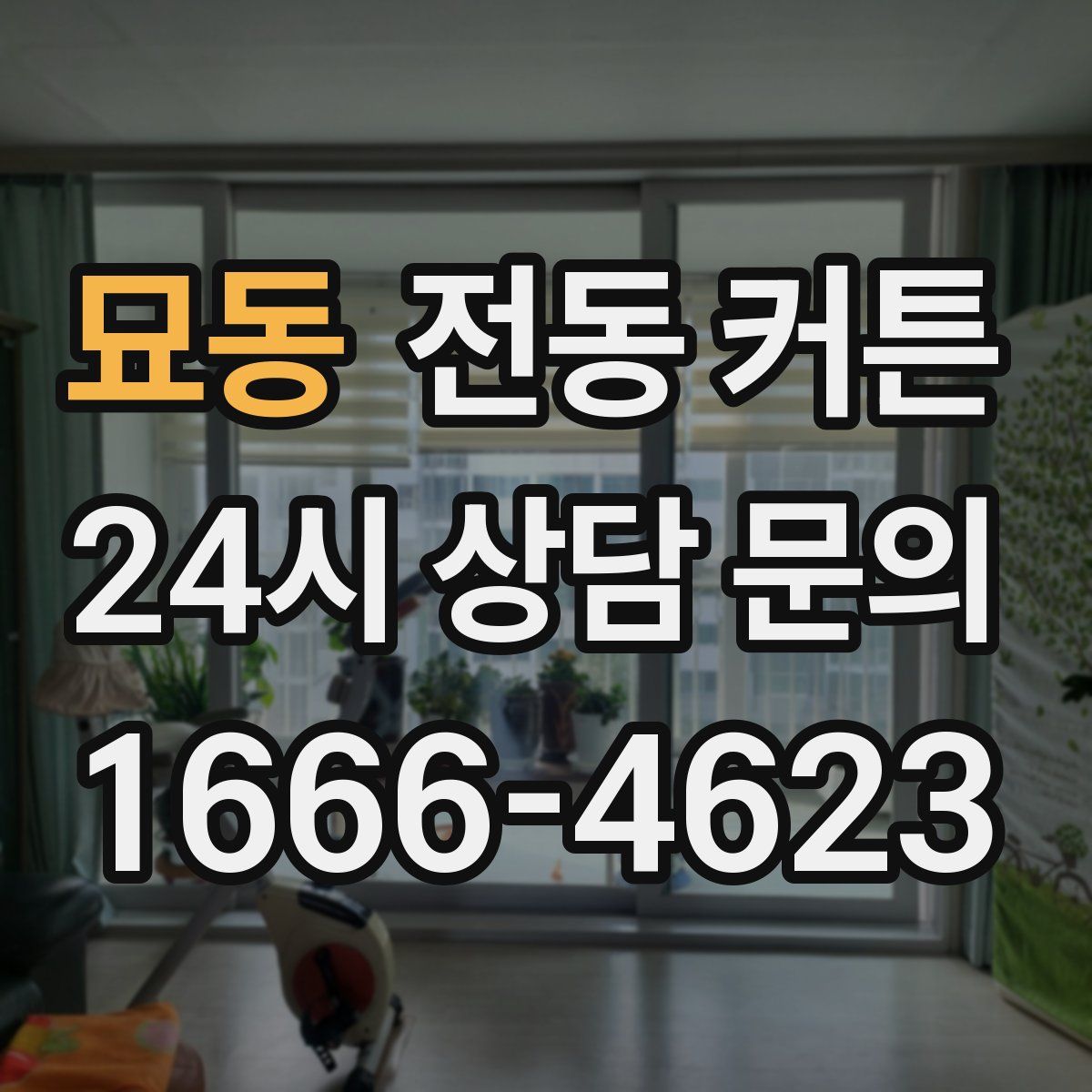 묘동 전동 커튼