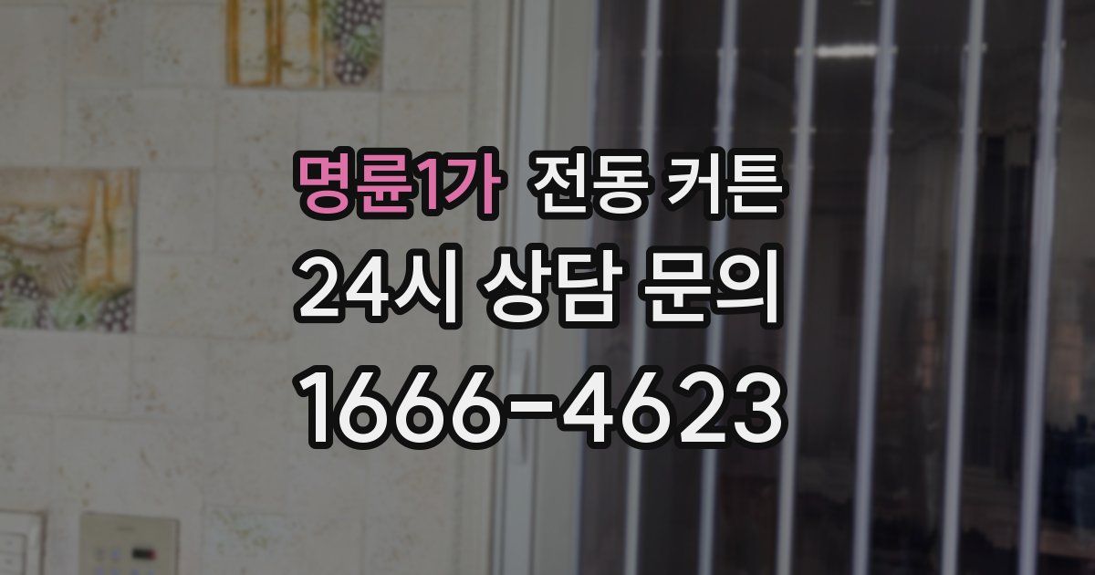 명륜1가 전동 커튼