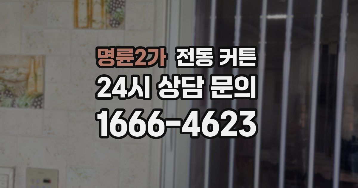 명륜2가 전동 커튼