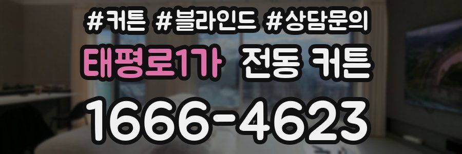 태평로1가 전동 커튼
