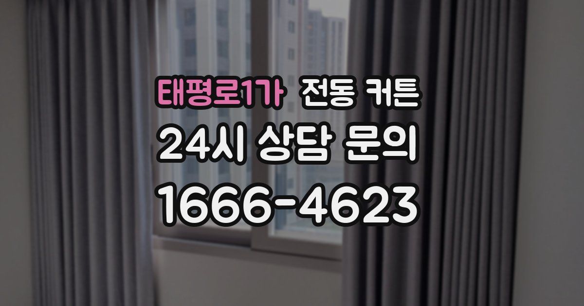 태평로1가 전동 커튼