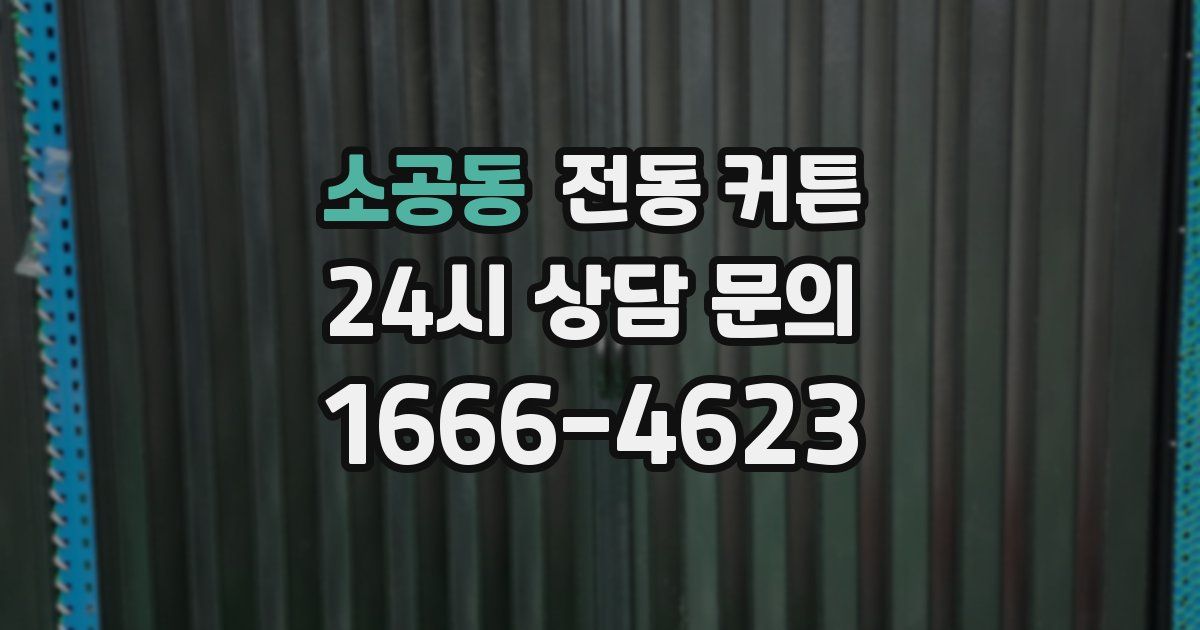 소공동 전동 커튼