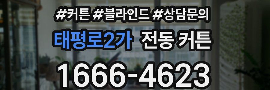 태평로2가 전동 커튼