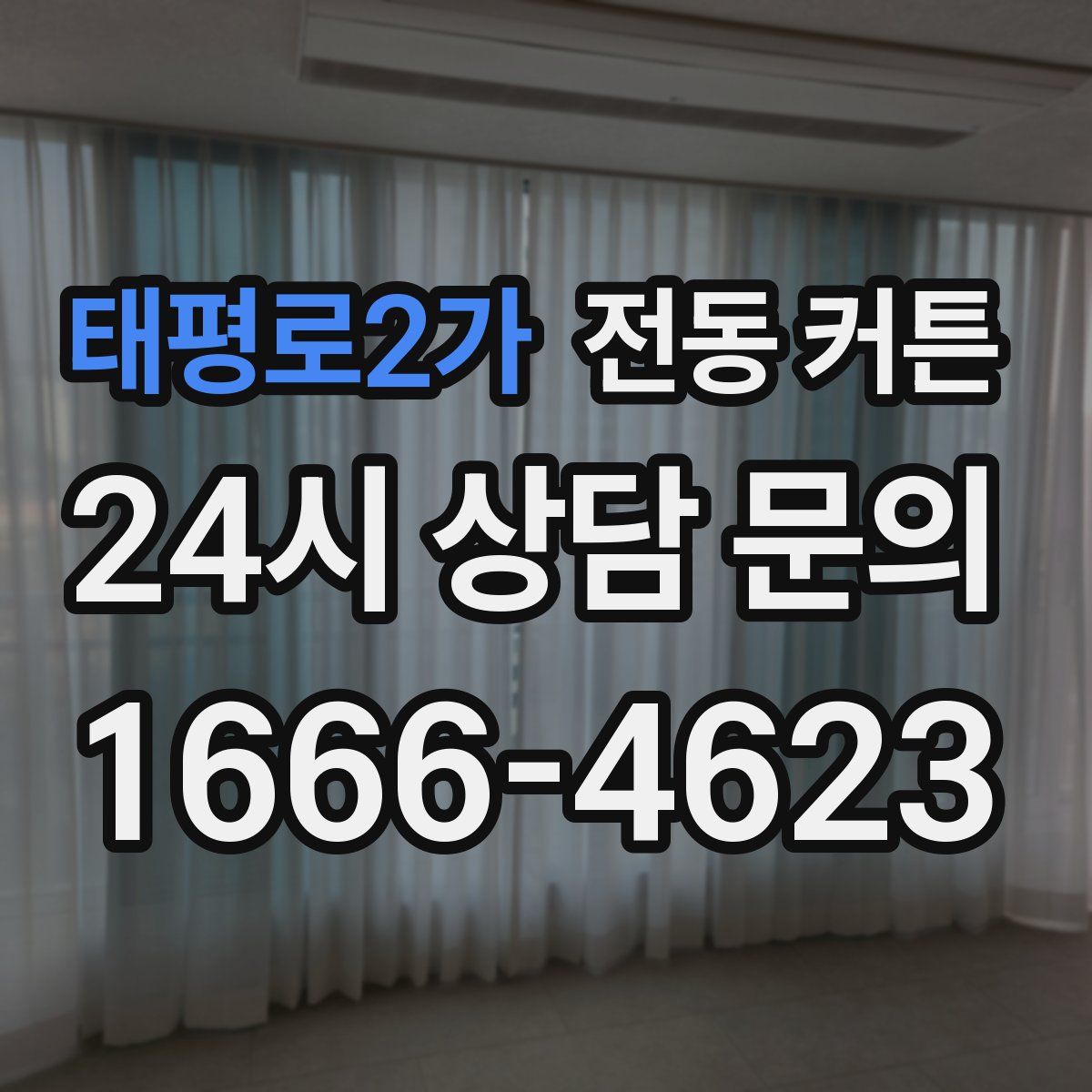 태평로2가 전동 커튼