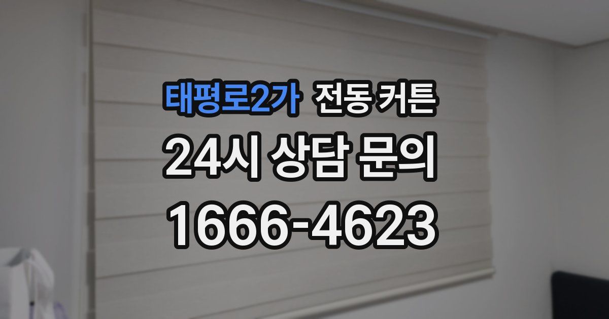 태평로2가 전동 커튼