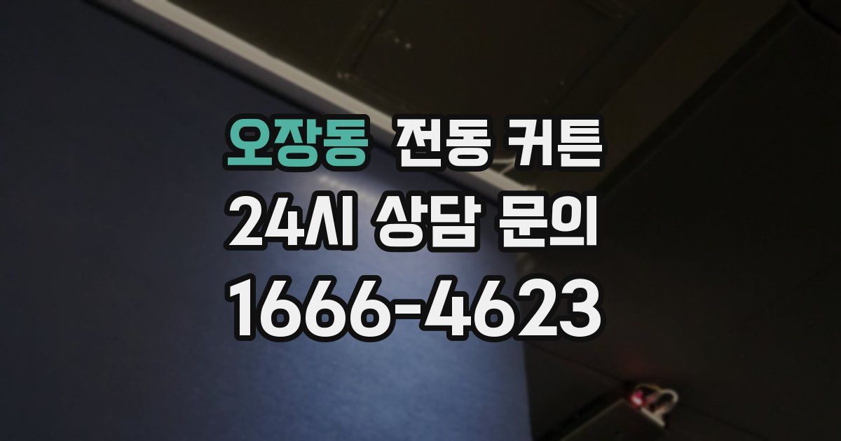오장동 전동 커튼