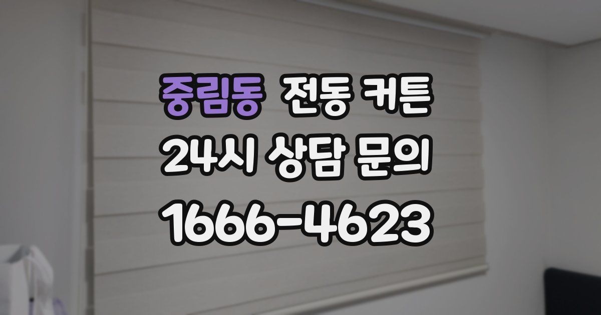 중림동 전동 커튼
