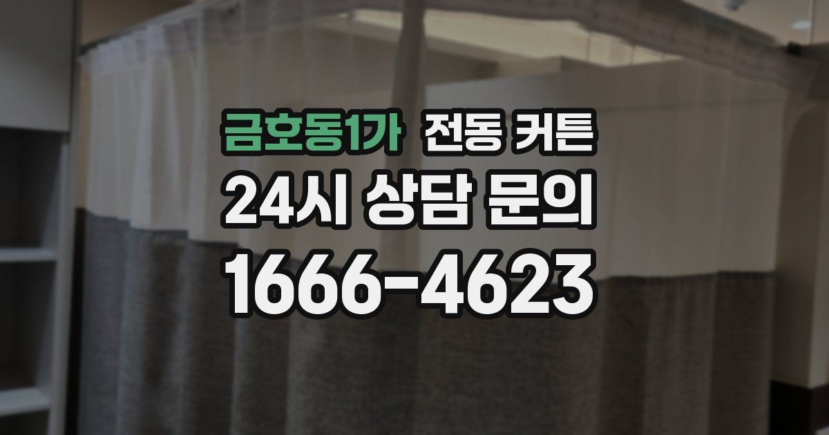 금호동1가 전동 커튼