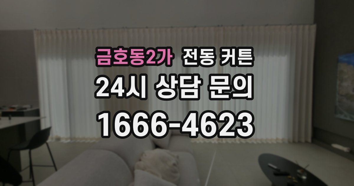 금호동2가 전동 커튼