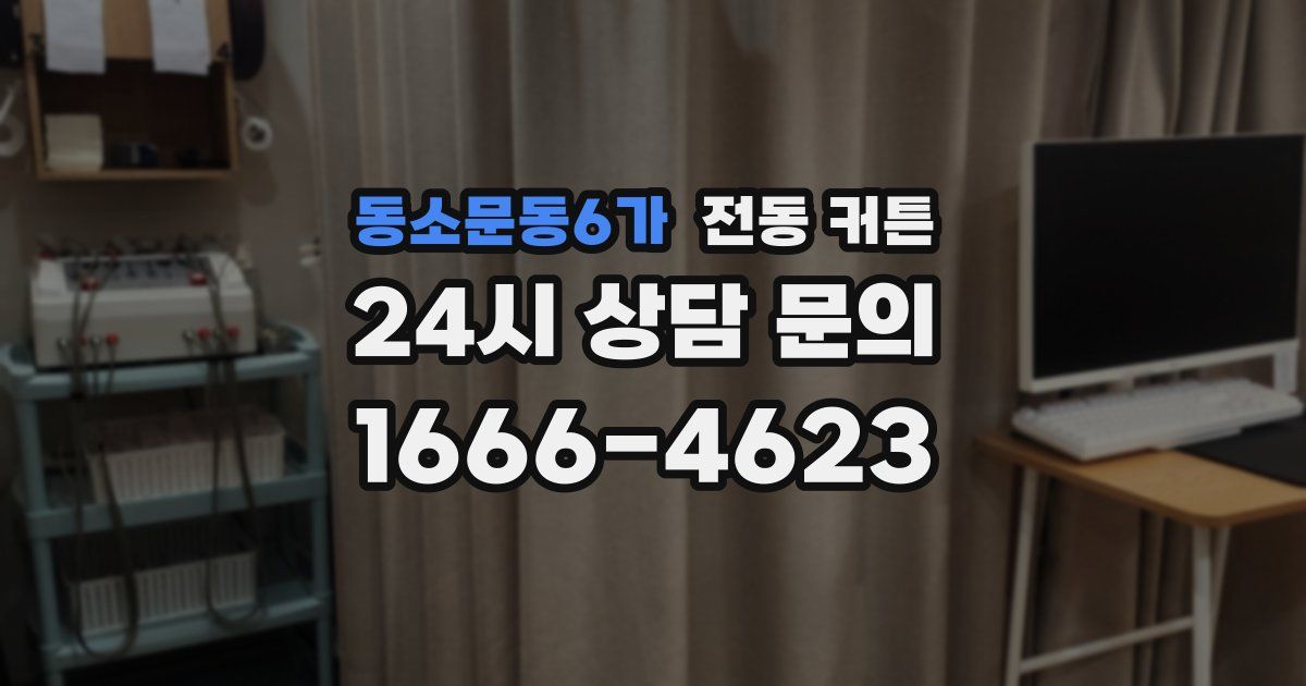 동소문동6가 전동 커튼