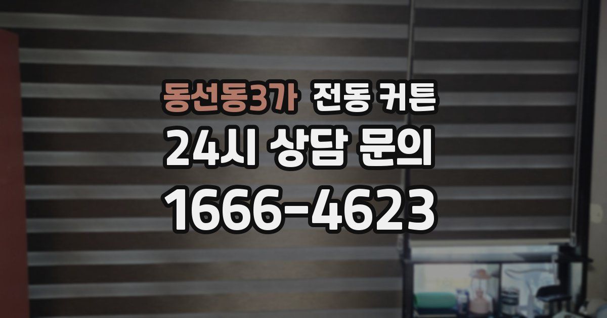 동선동3가 전동 커튼
