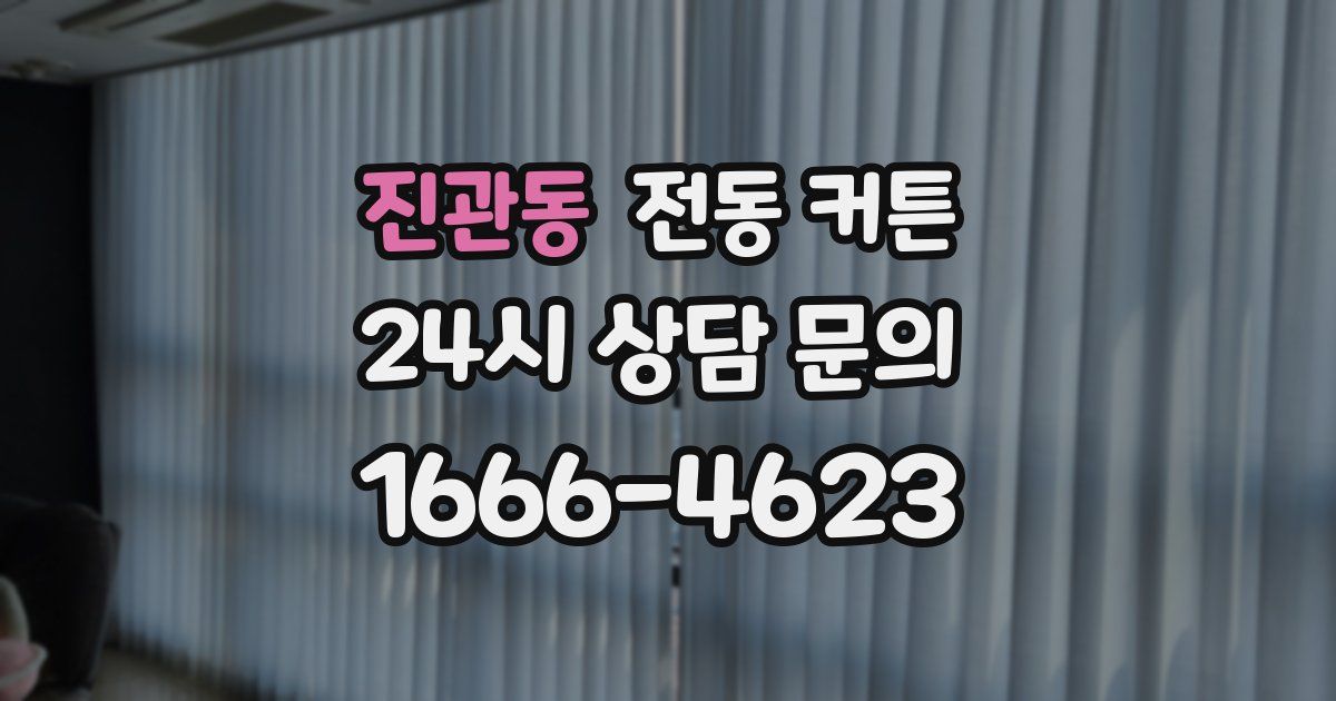 진관동 전동 커튼