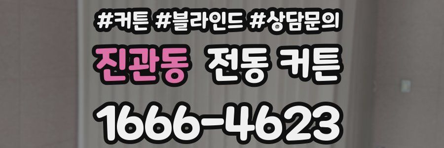 진관동 전동 커튼