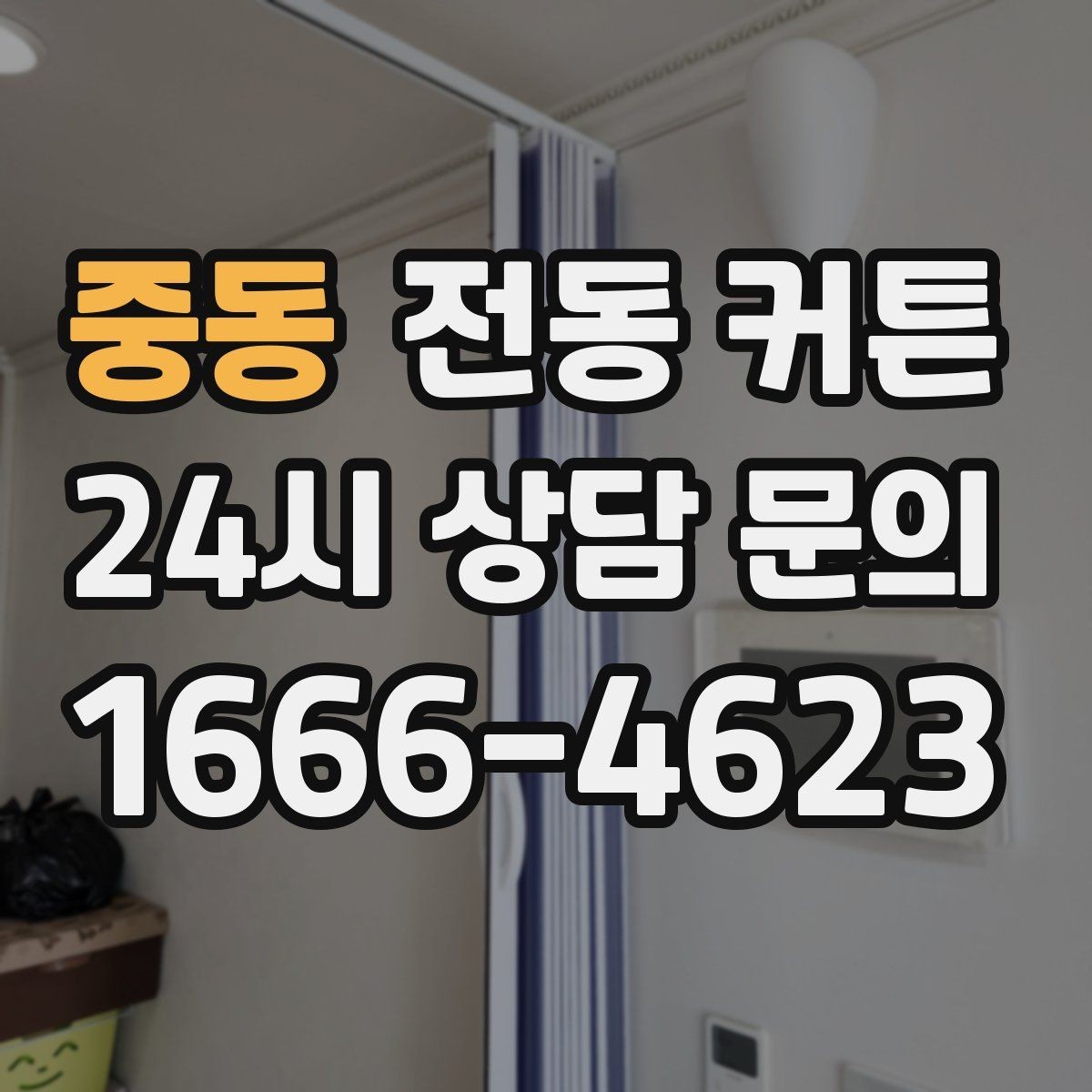 중동 전동 커튼 반려동물 있는 집에서 고려할 점