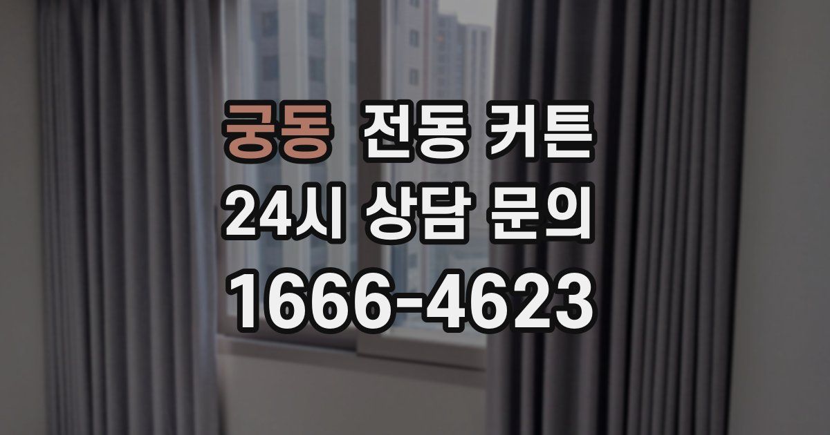 궁동 전동 커튼