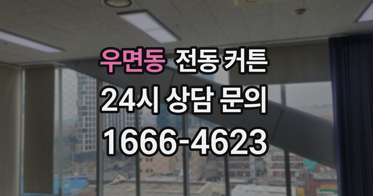 우면동 전동 커튼
