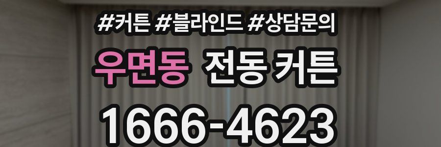 우면동 전동 커튼