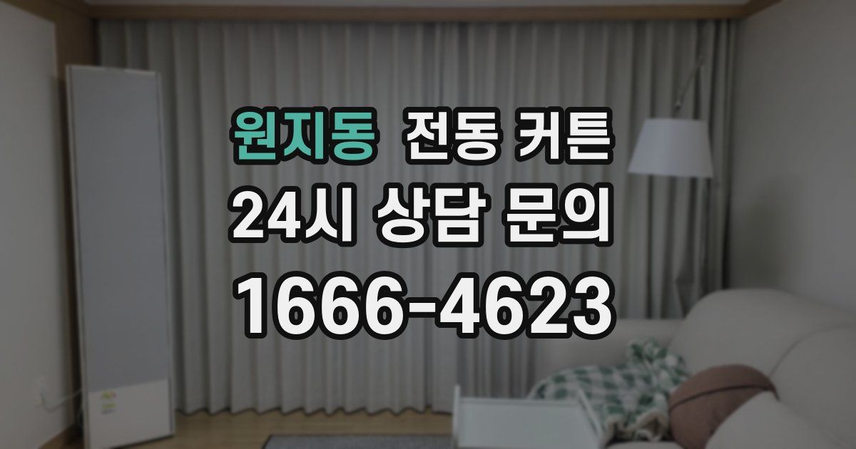 원지동 전동 커튼
