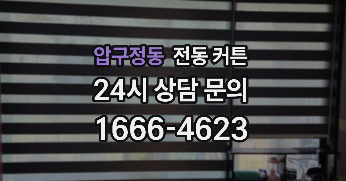 압구정동 전동 커튼
