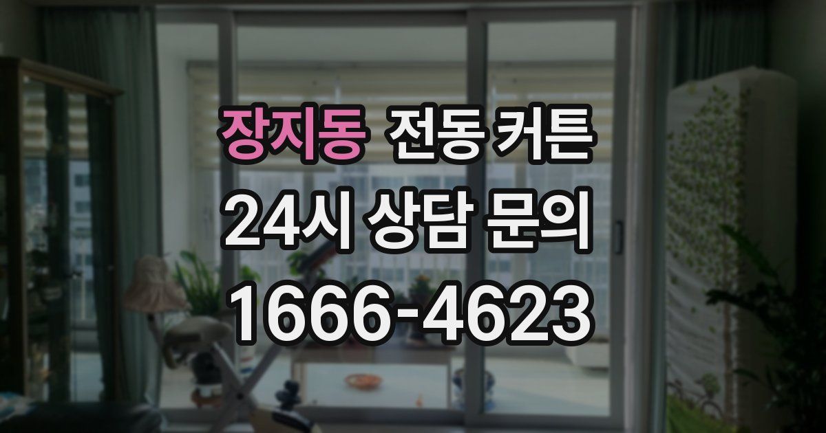 장지동 전동 커튼